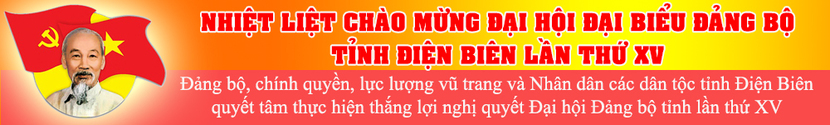 Chào mừng đại hội đảng bộ tỉnh