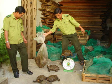 Ảnh minh họa. Nguồn: Internet