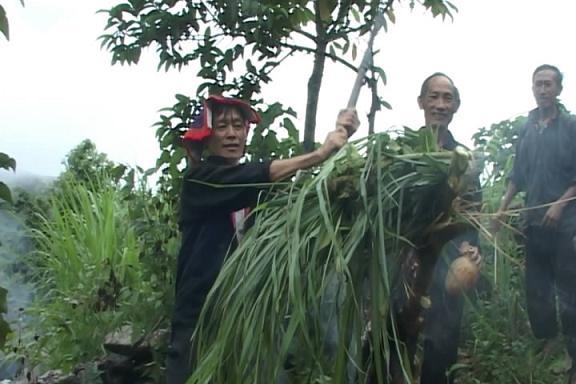 Những bó sậy, những búi giẻ do anh em trong dòng họ mang đến và do nhà chủ lễ chuẩn bị được gom lại và đem đốt như một cách để xua đi những điều đen đủi