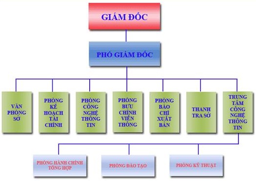 Tổ chức bộ máy Sở TT&TT Điện Biên hiện nay.